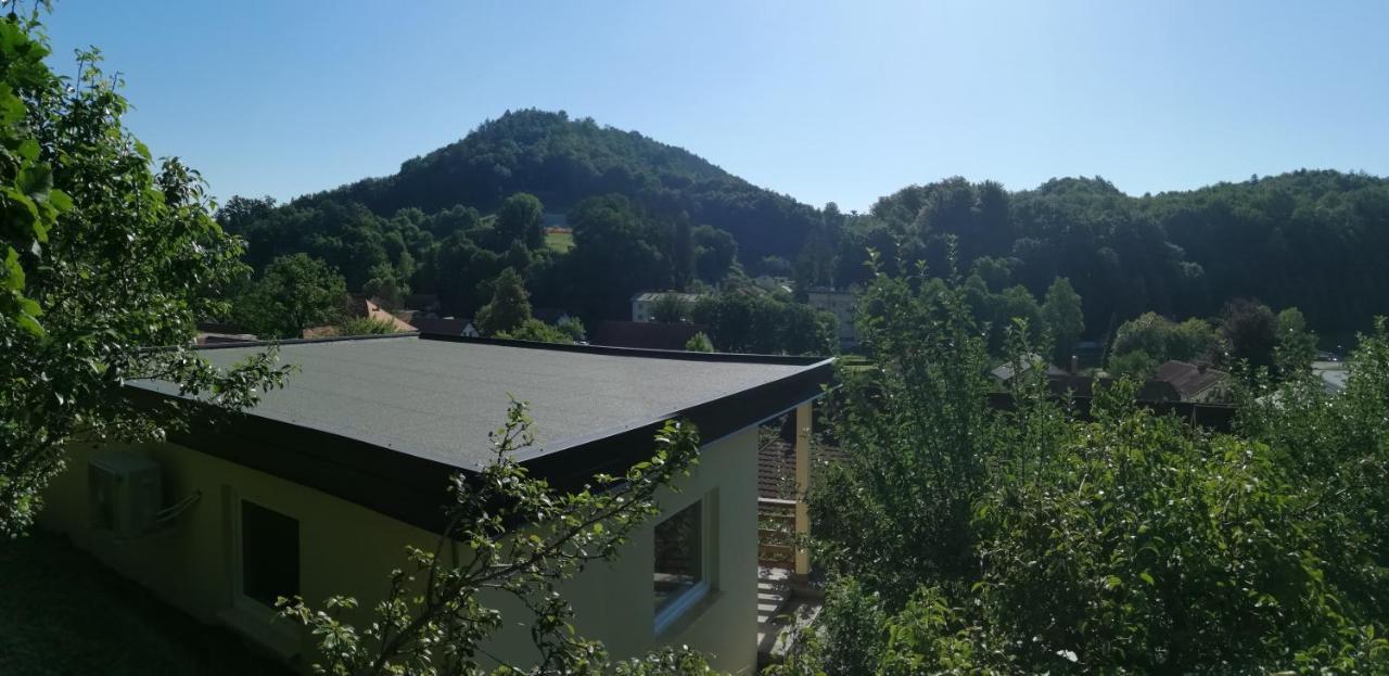 Apartments Ina Rogaška Slatina Szoba fotó